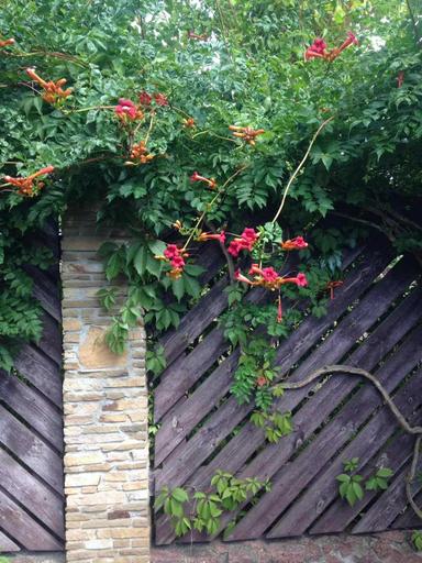 Дом по адресу ул. Васильковская (площадь 170 м²) - Atlanta.ua - фото 35