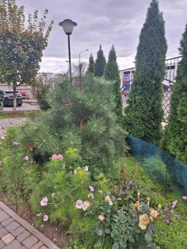 1-room apartment apartment by the address (area 52,2 m²) - Atlanta.ua - photo 30