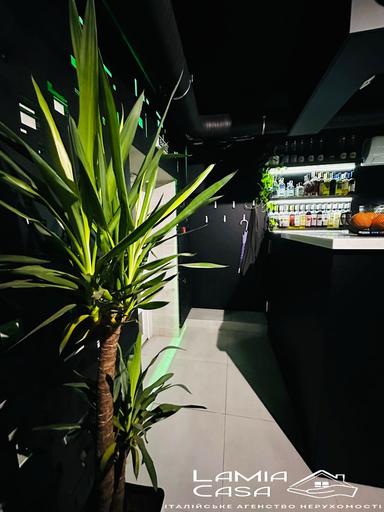 Комерційна нерухомість за адресою вул. Небесної Сотні (площа 91 м²) - Atlanta.ua - фото 34