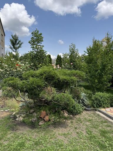 House by the address st. Bandery Stepana (area 130 m²) - Atlanta.ua - photo 29