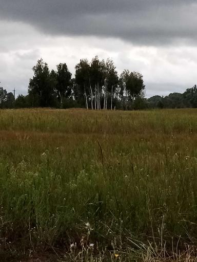 House by the address st. Lesnichaya (area 280 m²) - Atlanta.ua - photo 15