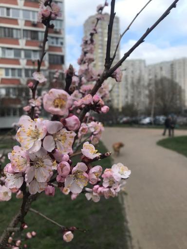 Багатокімнатна квартира за адресою (площа 94 м²) - Atlanta.ua - фото 35