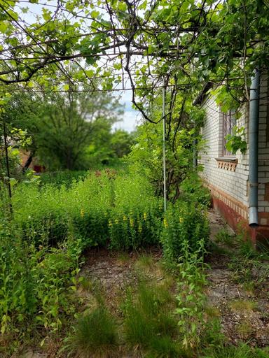 Будинок за адресою вул. Магістратська (площа 47 м²) - Atlanta.ua - фото 14