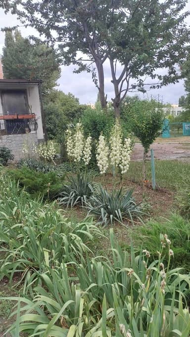 3-комнатная квартира по адресу (площадь 115 м²) - Atlanta.ua - фото 36