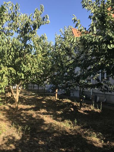 House by the address (area 248 m²) - Atlanta.ua - photo 29