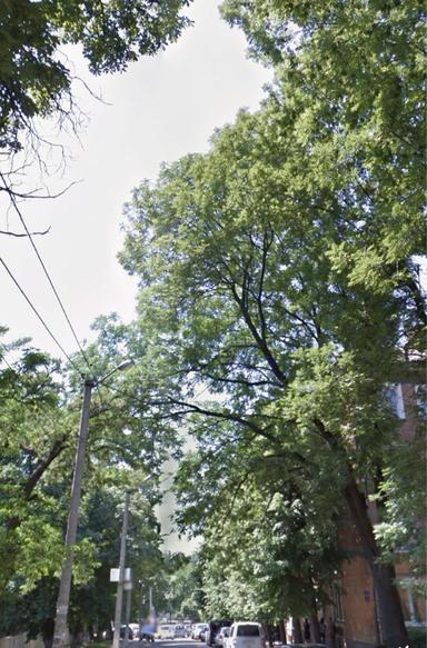 Комерційна нерухомість за адресою вул. Капеланська (площа 51 м²) - Atlanta.ua - фото 14