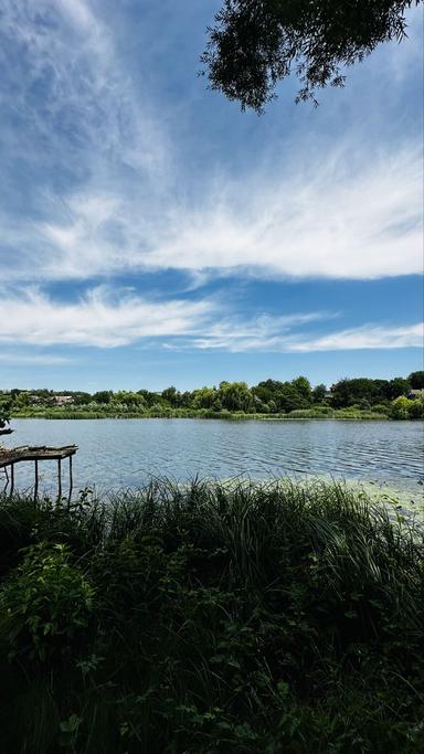 Будинок за адресою (площа 249 м²) - Atlanta.ua - фото 31