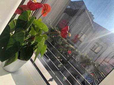 Дом по адресу Люстдорфская дор. (площадь 100 м²) - Atlanta.ua - фото 47