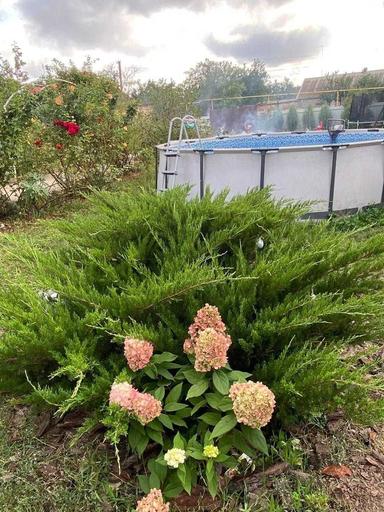 House by the address st. Lyustdorfskaya dor Chernomorskaya dor (area 98 m²) - Atlanta.ua - photo 45