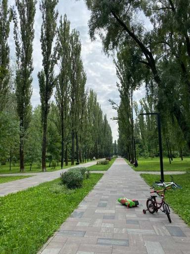 Commercial real estate at st. Ilenka Yuriya (area 70 m²) - Atlanta.ua - photo 42