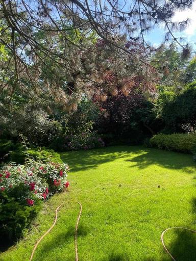 Дом по адресу ул. Спортивная (площадь 550 м²) - Atlanta.ua - фото 18