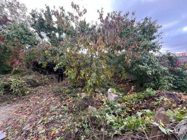 House by the address st. Kulikovo pole pl Oktyabrskoy revolyutsii pl (area 36 m²) - Atlanta.ua - photo 17