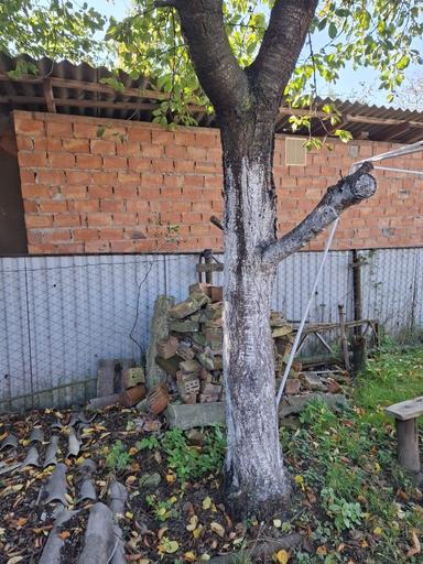 Дом по адресу ул. Кишинівська (площадь 43,4 м²) - Atlanta.ua - фото 33