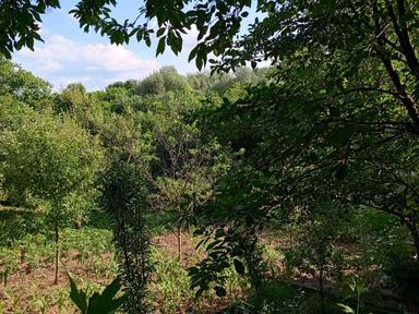 Дом по адресу ул. Капеланська (площадь 4 м²) - Atlanta.ua - фото 21