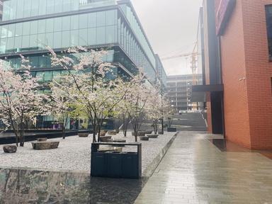 1-комнатная квартира по адресу ул. Ильенка Юрия (площадь 36,3 м²) - Atlanta.ua - фото 46