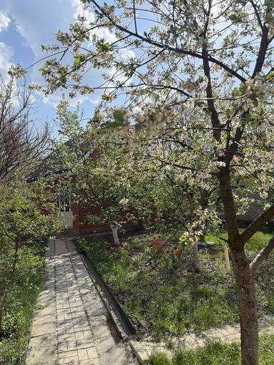 House by the address (area 480 m²) - Atlanta.ua - photo 46