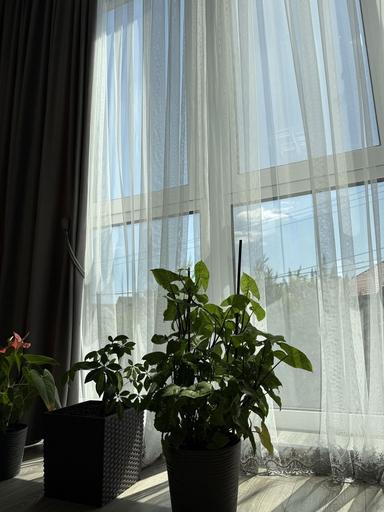 2-кімнатна квартира за адресою вул. Капеланська (площа 68 м²) - Atlanta.ua - фото 29