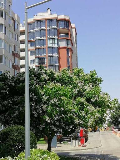 1-комнатная квартира по адресу ул. Проценко (площадь 38 м²) - Atlanta.ua - фото 30