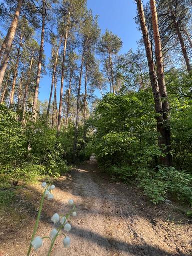 Багатокімнатна квартира за адресою (площа 216,7 м²) - Atlanta.ua - фото 46