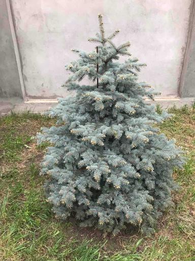 Будинок за адресою вул. Перемоги (площа 200 м²) - Atlanta.ua - фото 19