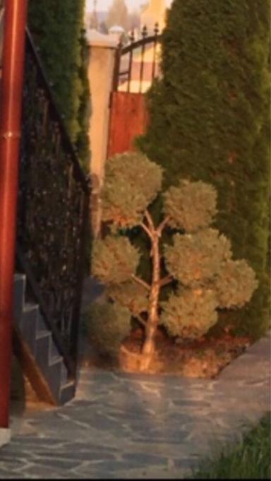 Дом по адресу (площадь 330 м²) - Atlanta.ua - фото 27