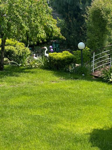 Дом по адресу ул. Старогородская (площадь 285 м²) - Atlanta.ua - фото 29