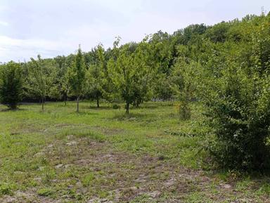 Дом по адресу ул. Первомайская (площадь 177 м²) - Atlanta.ua - фото 30