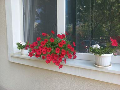 Дом по адресу ул. Загорская (площадь 110 м²) - Atlanta.ua - фото 45