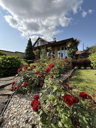Будинок за адресою (площа 260 м²) - Atlanta.ua - фото 26