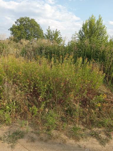 Дом по адресу ул. Добробутна (площадь 36 м²) - Atlanta.ua - фото 26