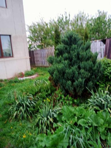 Будинок за адресою вул. Богдана Хмельницького (площа 274,5 м²) - Atlanta.ua - фото 37