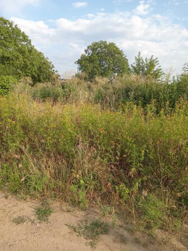 Дом по адресу ул. Добробутна (площадь 36 м²) - Atlanta.ua - фото 25