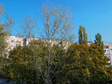 1-комнатная квартира по адресу (площадь 35 м²) - imageAlt 23 1-комнатная квартира по адресу (площадь 35 м²) - Atlanta.ua - imageAlt 23