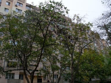 1-комнатная квартира по адресу (площадь 36 м²) - Atlanta.ua - imageAlt 19