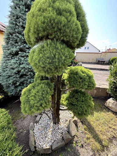 Дом по адресу (площадь 260 м²) - Atlanta.ua - фото 24