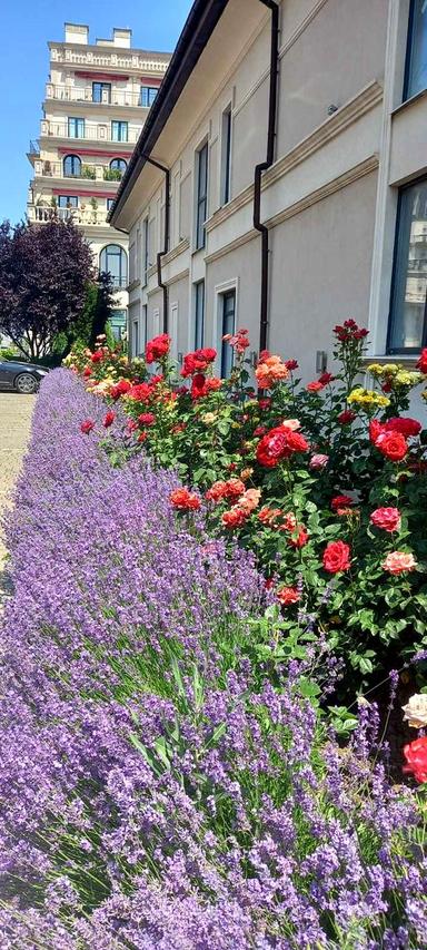 2-rooms apartment apartment by the address st. Grecheskaya (area 60 m²) - Atlanta.ua - photo 28