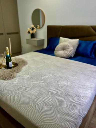 2-комнатная квартира по адресу ул. Александровская (площадь 70,8 м²) - Atlanta.ua - фото 37