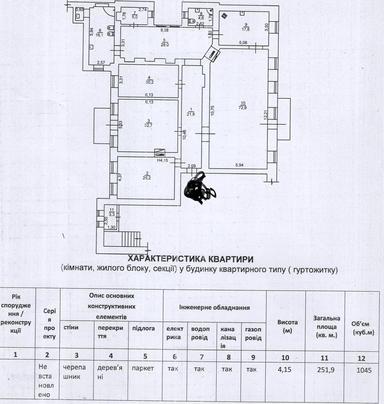 Многокомнатная квартира по адресу Чайковского пер. (площадь 252 м²) - Atlanta.ua - фото 41