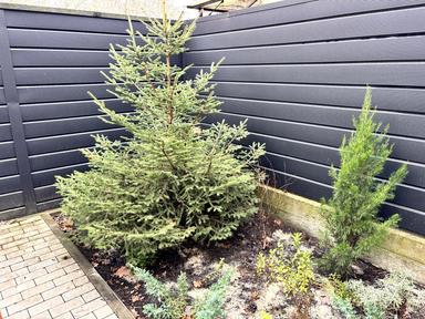 Дом по адресу (площадь 104,5 м²) - Atlanta.ua - фото 115