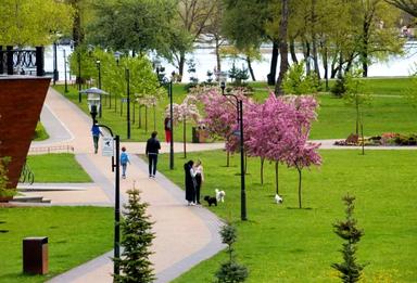 1-комнатная квартира по адресу ул. Ивасюка Владимира пр-т (площадь 58 м²) - Atlanta.ua - фото 52