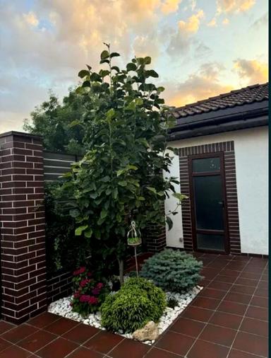 Дом по адресу ул. Китобойная (площадь 300 м²) - Atlanta.ua - фото 27