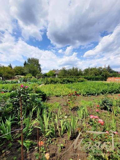 House by the address (area 550 m²) - Atlanta.ua - photo 94