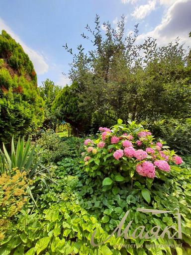 House by the address (area 550 m²) - Atlanta.ua - photo 92