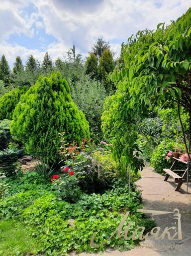 House by the address (area 550 m²) - Atlanta.ua - photo 95