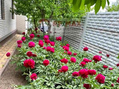 Будинок за адресою (площа 266 м²) - Atlanta.ua - фото 71