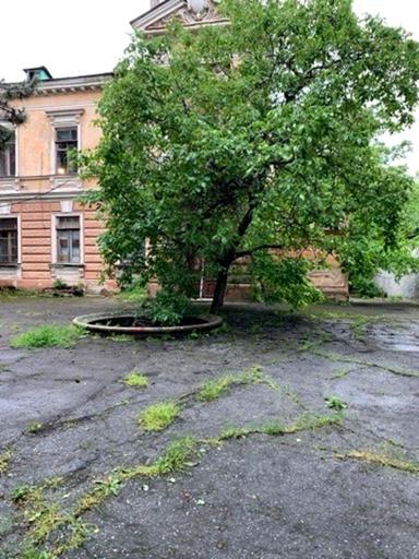 Commercial real estate at st. Kataeva per 1 y Kulikovskiy per (area 1100 m²) - Atlanta.ua - photo 12