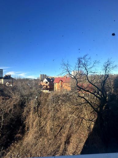 1-кімнатна квартира за адресою вул. Магістральна (площа 24,9 м²) - Atlanta.ua - фото 18