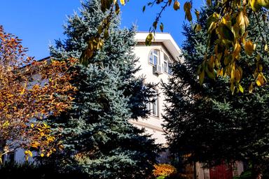 House by the address (area 770 m²) - Atlanta.ua - photo 75