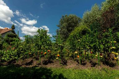 Дом по адресу (площадь 360 м²) - Atlanta.ua - фото 44