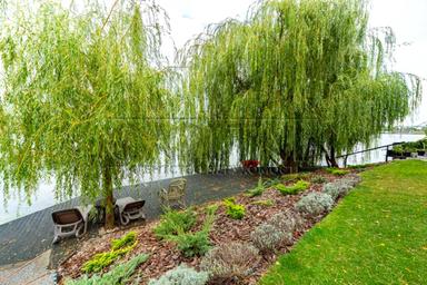 Дом по адресу ул. Озерная (площадь 368 м²) - Atlanta.ua - фото 103